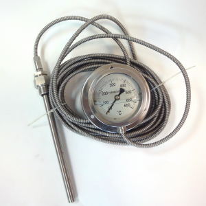 Термометр газовый 50-650